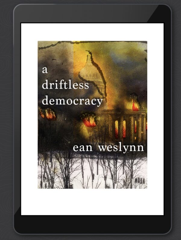 a driftless democracy - Image 3